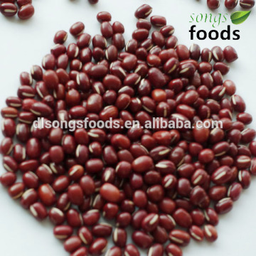 Adzuki beans 2014