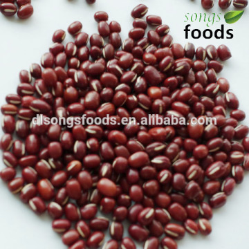 Adzuki beans 2014