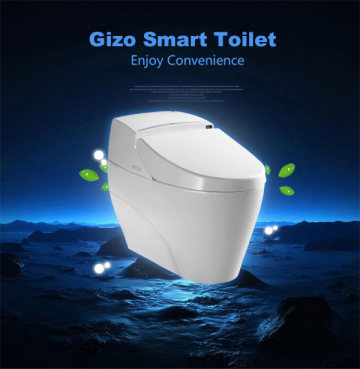 Bathroom Design Intelligent Toilet automatic hotel toilet