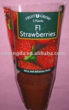 PP Plastic Plant Flower Pot Sleeve: Your Ultimate Guide to Selecting the Perfect Protective Cover