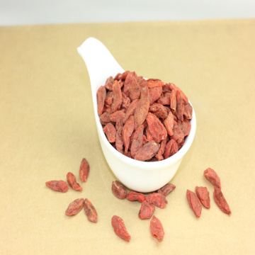 High nutrition Chinese Herb Medicine dried goji berry