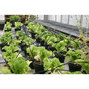 Drip arrow irrigation system for greenhouse