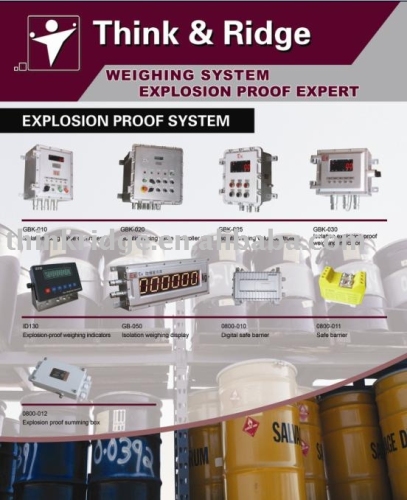 explosion proof system