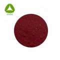 Pigment comestible en poudre rouge d'amarante