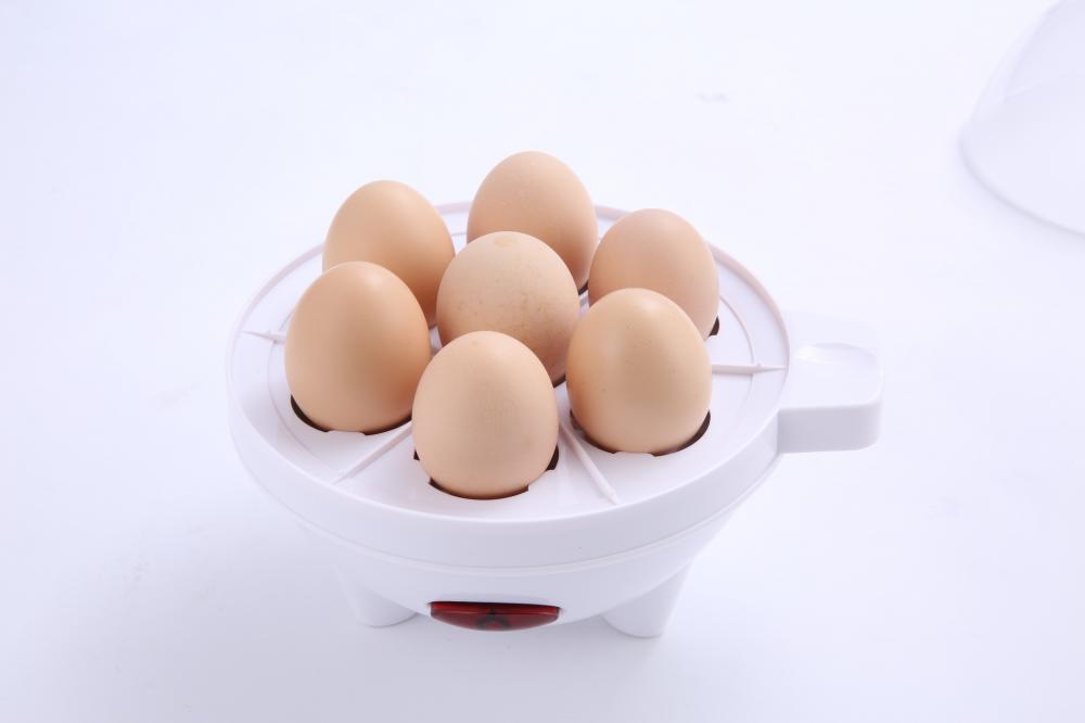 Rust Protection Egg Cooker
