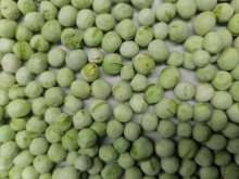 Best Quality Fd Green Peas Freeze Dried Vegetable
