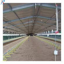 Large-Scale Automated Prefabricated Steel Frame Structures for High-Efficiency Chicken Broiler Houses in Agriculture
