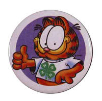 Law Enforcement Badge