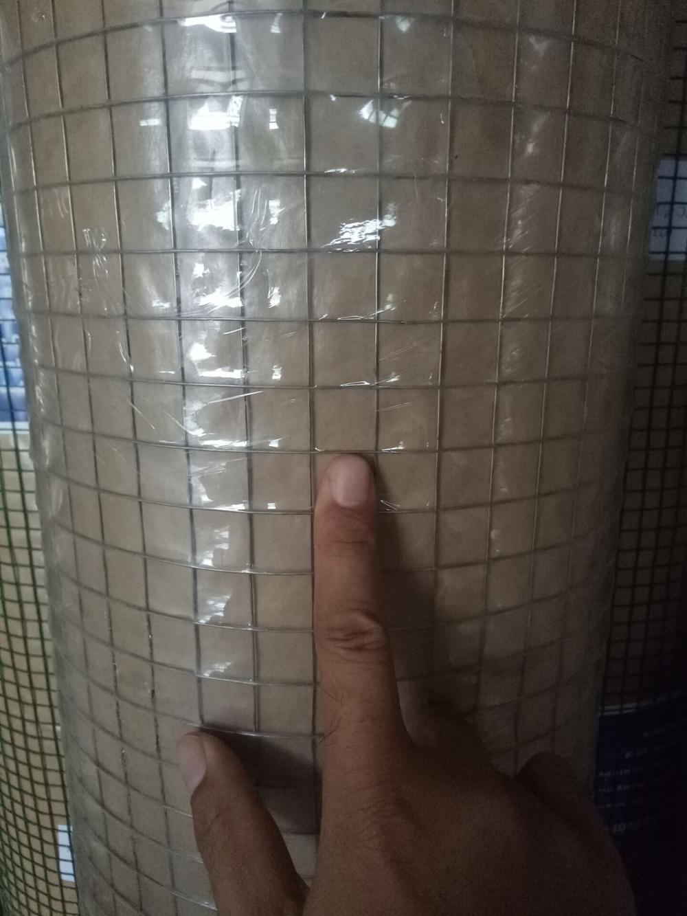 Panas dicelup galvanis Wire Mesh