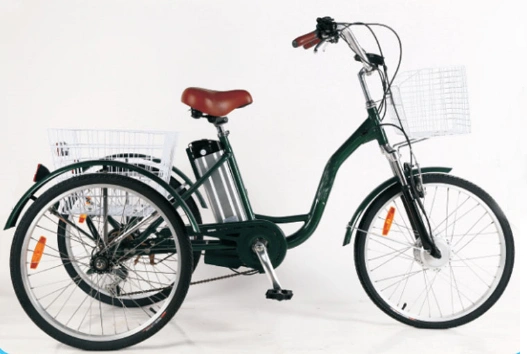 Factory Directly Family Used 36V 250W Adult Large Electric Tricycle for Shopping