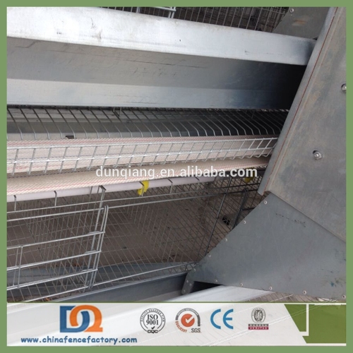 Trade Assurance Automatic Drinking Chicken Cage for Eggs Layer Farming