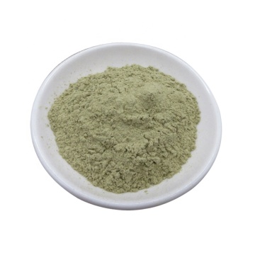 factory supply top quality aloe vera extract powder