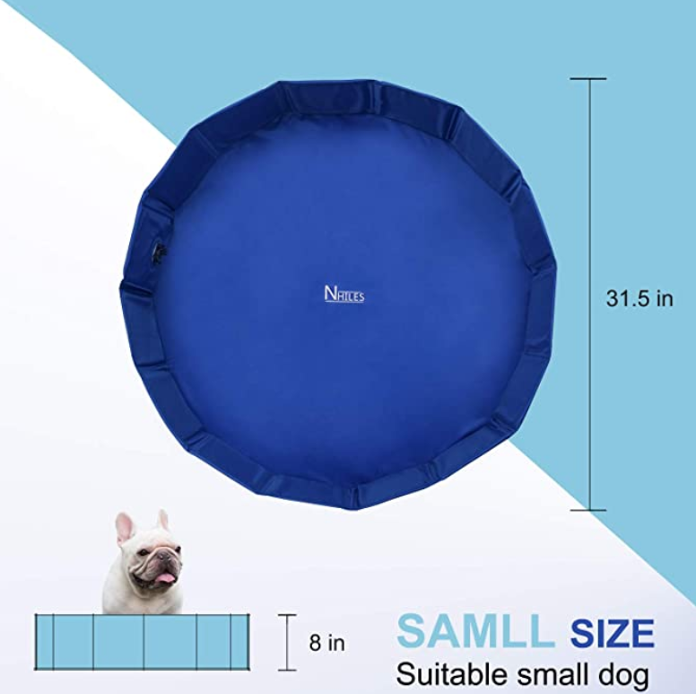 Small Dog Pool