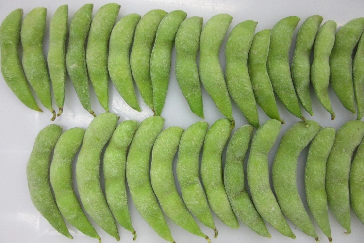 China IQF Frozen Soybeans Frozen Edamame