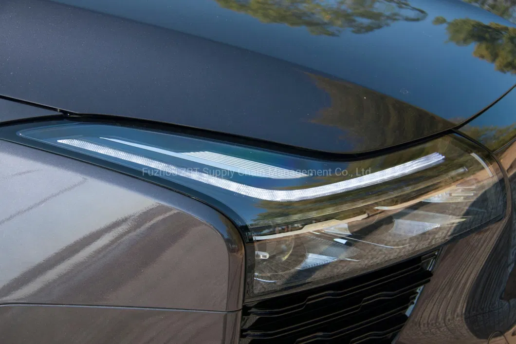 Green New Energy Vehicle Nedc 403km 510km Long Range Ride on Car Electric Car 150kw 2WD SUV with Coc CE Certification