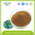 Contains saponin 10:1 Ixeris denticulata extract