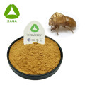 Cicadae periostracum Cigada Slough Extract Powder