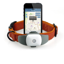 2015 Newest Mini Pet GPS Tracker for Dog/Cat Appello 4p Waterproof Ipx7 Tracking on APP, No Need to Set by SMS Anymore
