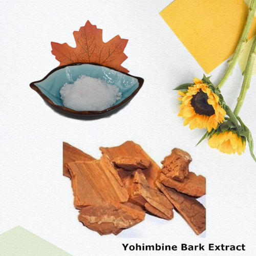 Extrait d&#39;écorce de yohimbine naturelle pure Yohimbine HCl 98%