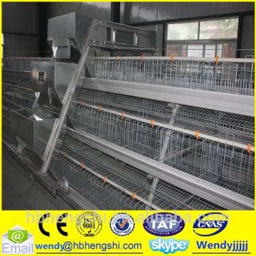 Chicken feeding cages/chicken egg incub/hens coop                        
                                                                                Supplier's Choice