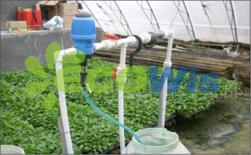 Professional Manufacturer Agriculture Proportion Dosing Pump