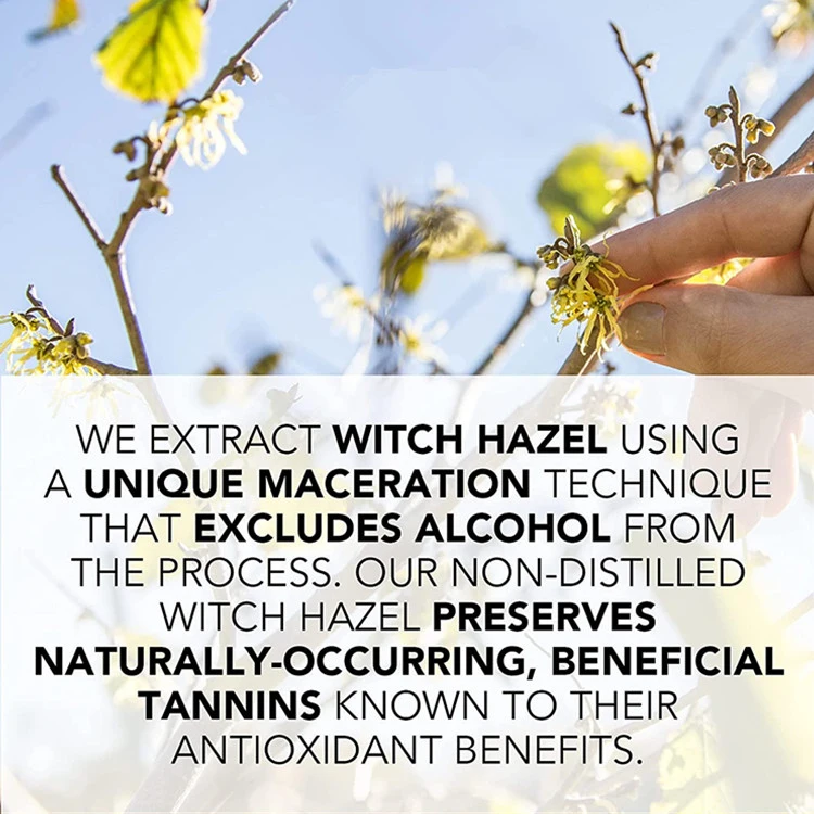 Organic Witch Hazel Astringent Facial Toner with Aloe Vera Formula