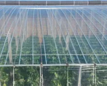 Greenhouse Transparent Film Mainly Made of PE