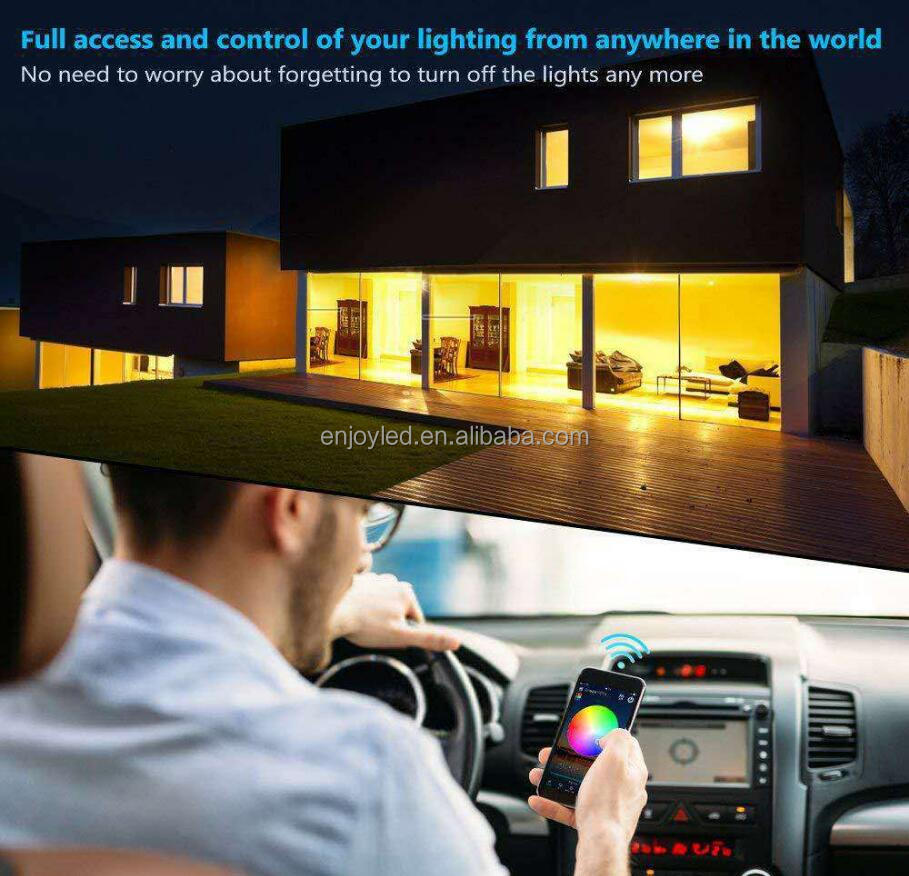 Smart Amazon Alexa Google Home Tuya Wifi BT IP65 Flexible Waterproof Addressable LED Luces Neon 5050 Rgb Kits Led Strip Lights