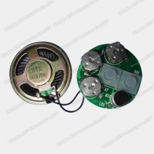 Recordable Sound Chip Voice Chip Music IC