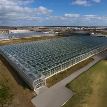 Agricultural Multi-span Glass Greenhouse