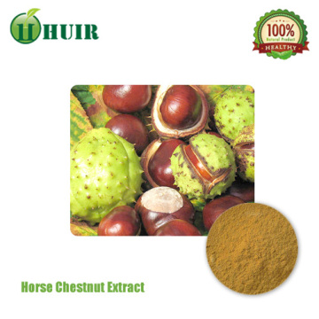 Natural horse chestnut powder | 20% Aescin horse chestnut extract