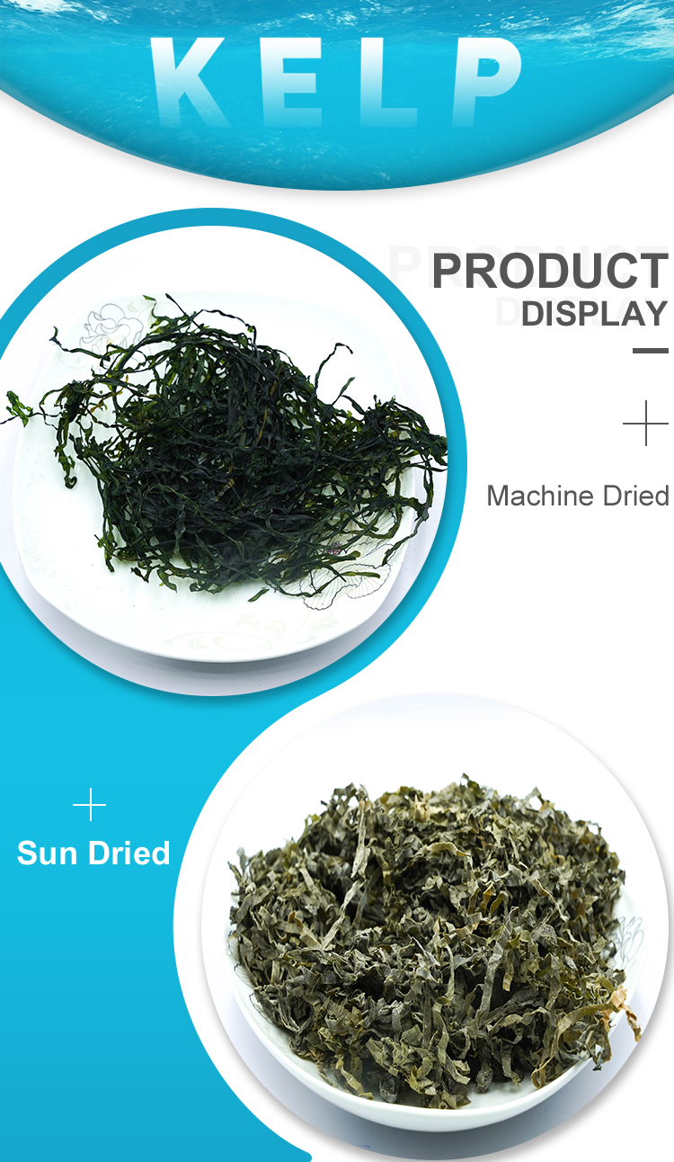 Wholesale Natural Sun Dried Organic Fresh Laminaria Kelp For Burning Soup