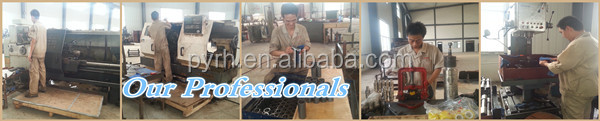 API EUE Tubing Pup Joint With Coupling for Oilefield