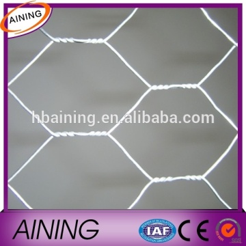 Chicken wire home depot/Hexagonal Wire Mesh Supplier/price of chicken wire