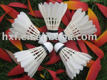 feather shuttlecock