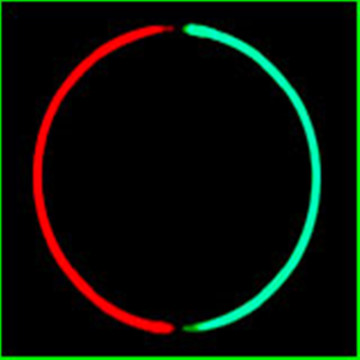 Glow Stick Necklace (5.0*280mm, EN71, ASTM F963)