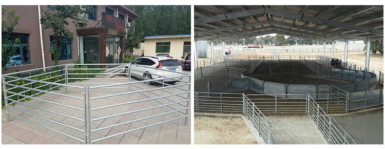 Heavy Duty Galvanized Livestock Hot-Dipped Cattle Panels