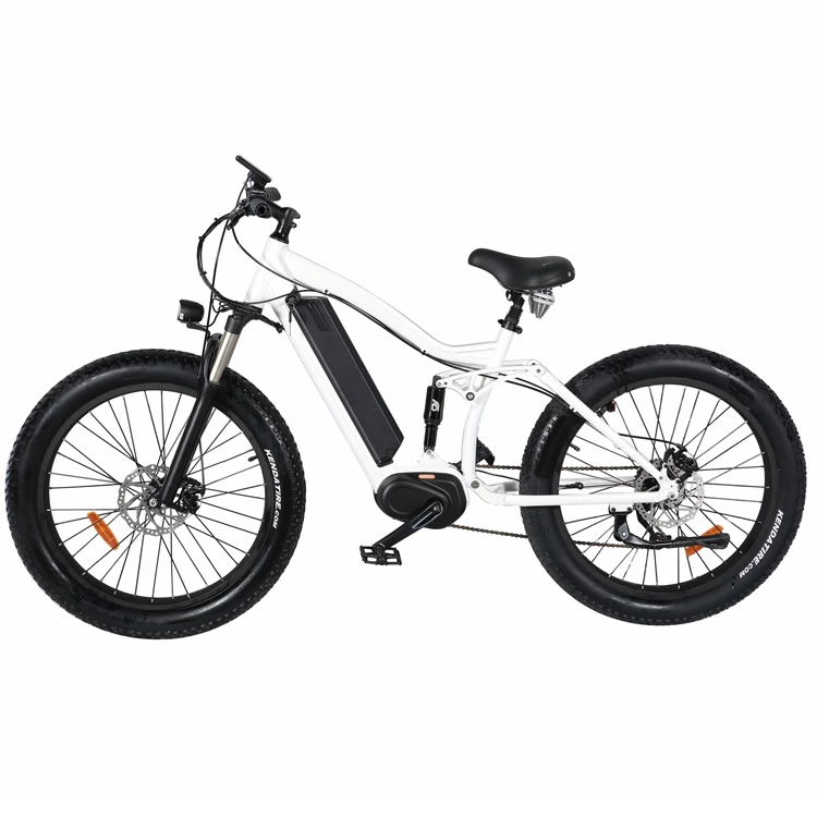 1000W Powerful Mountain Electric Bike with Full Suspension