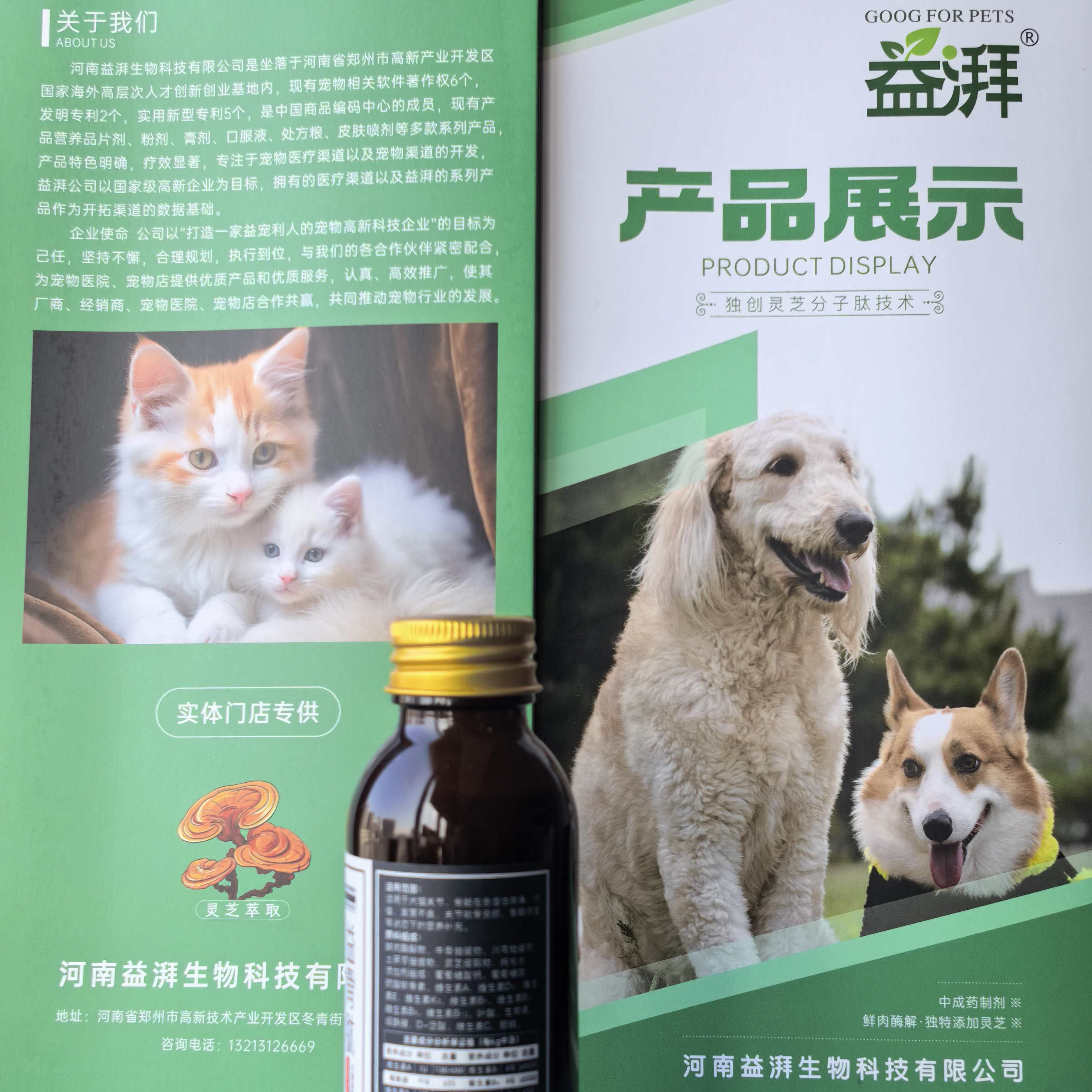 Suplementos para articulações e ossos de animais de estimação9 Pet Joint and Bone Supplements9