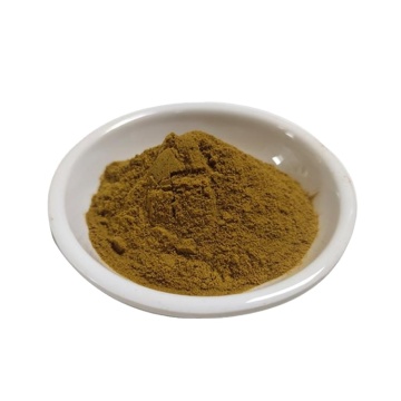 Best Selling Kudzu root Extract Powder High quality Factory Supply Kudzu root Extract Powder