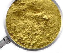 potency cistanche 20:1 extract ginseng of the desert