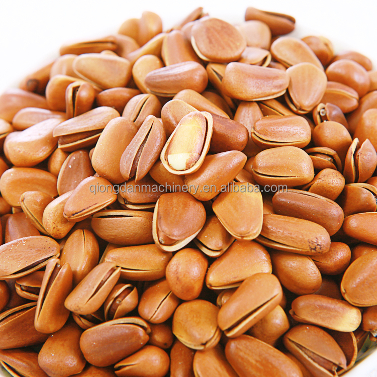 Fully automatic pine nut cracker pine cone separating machine Mongolia pinoli sheller pine nut processing equipment on sale