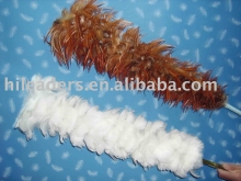 Feather Duster