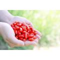 Certified Top grade Organic goji berry