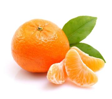 Good Quality Fresh Baby Mandarin