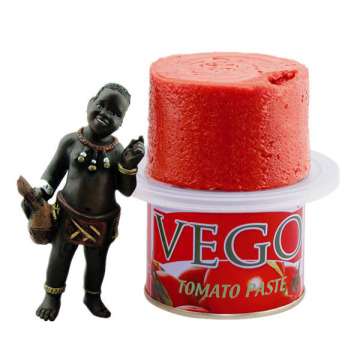 gino tomato paste factory