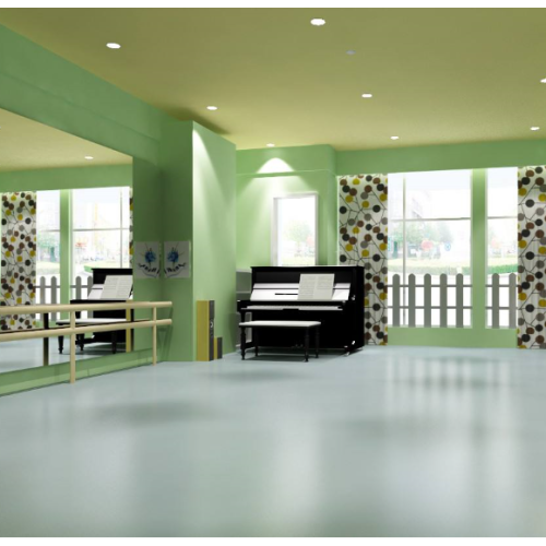 Salle de danse pour sols sportifs en PVC multi-usages Enlio