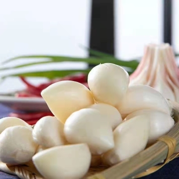 Chinese Herbal Flower Tea Lily Flower Bulb