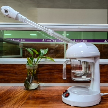 Hot Ozone Facial Steamer for Salons