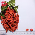 Suszone jagody goji z 18 aminokwasami